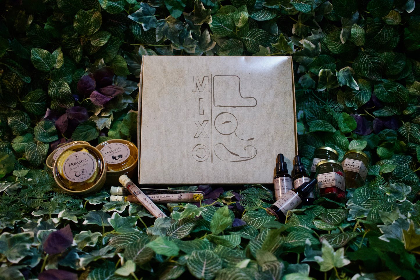 
                  
                    La Boxe à Gin'Fusion
                  
                