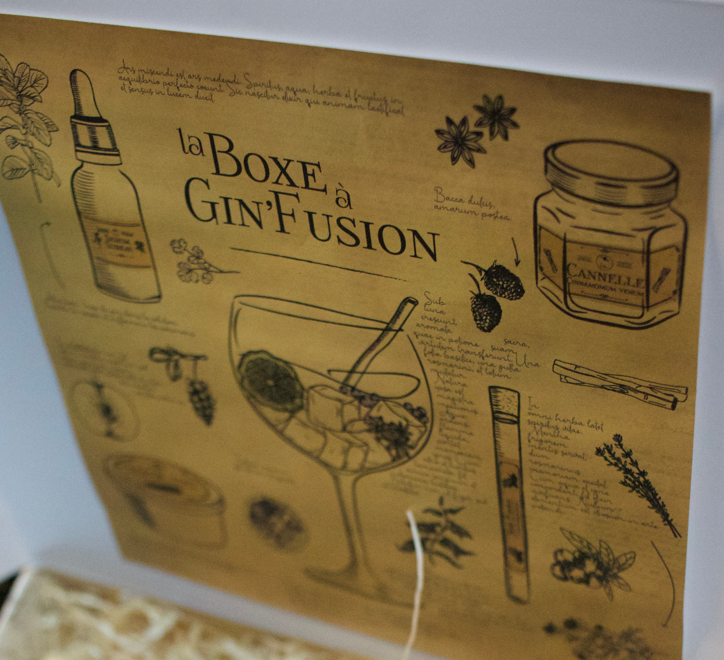 
                  
                    La Boxe à Gin'Fusion
                  
                