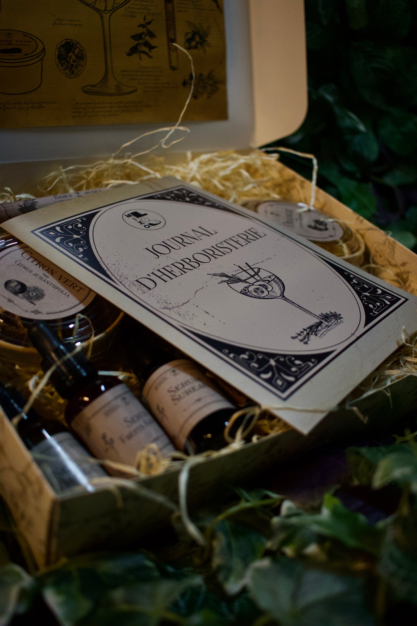 
                  
                    La Boxe à Gin'Fusion
                  
                