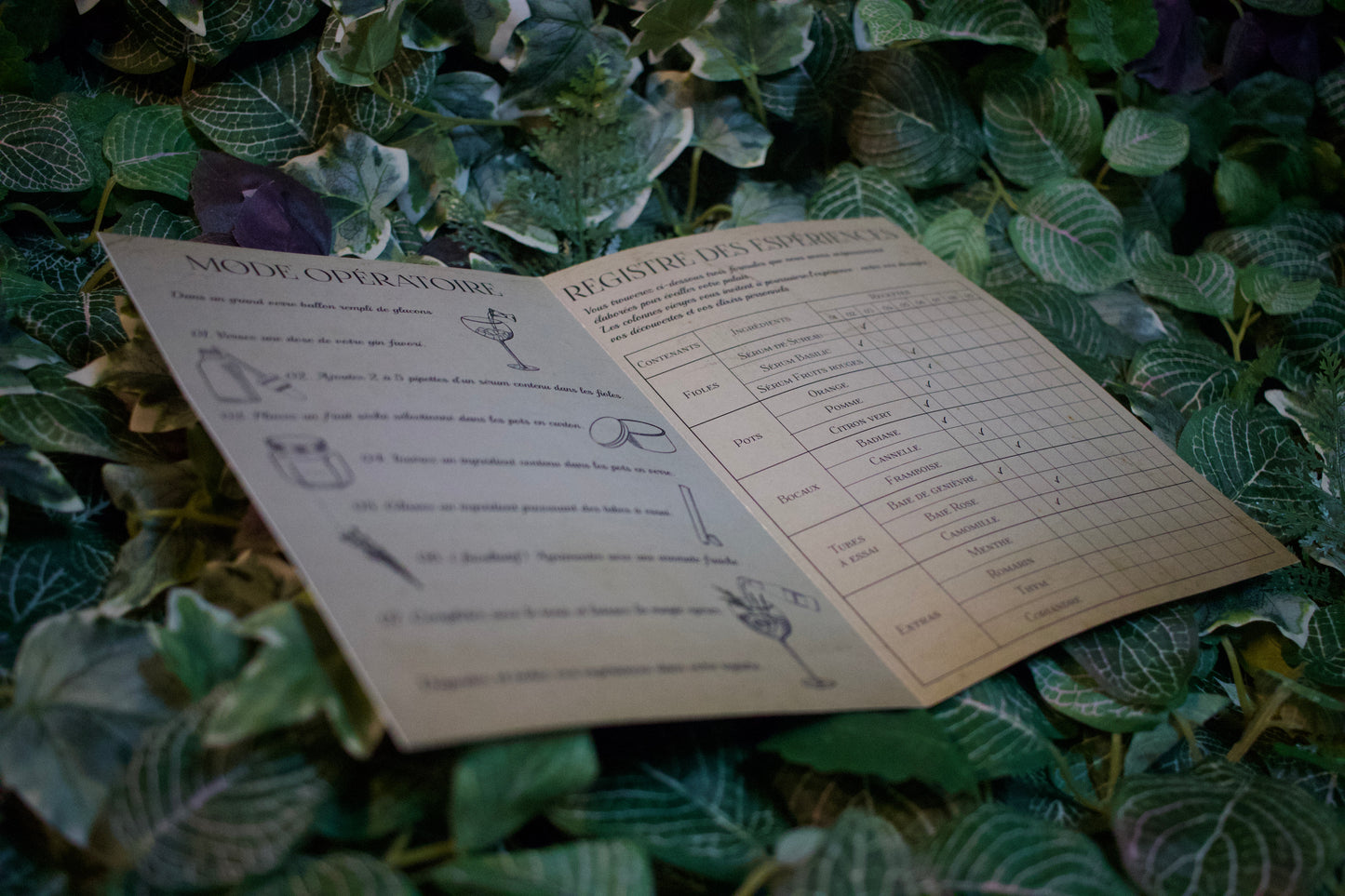 
                  
                    La Boxe à Gin'Fusion
                  
                